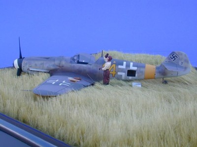 Lowe_Bf_109G-8_3.JPG