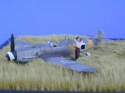 Lowe_Bf_109G-8_1.JPG
