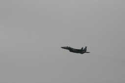 Filename=IMG_6346.JPG
Filesize=65KiB
Dimensions=2048x1365
Date added=Jan 18, 2018 IMG_6346.JPG