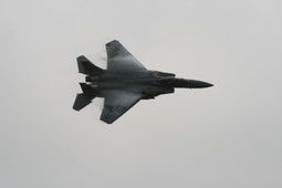 Filename=IMG_6353.JPG
Filesize=61KiB
Dimensions=2048x1365
Date added=Jan 18, 2018 IMG_6353.JPG