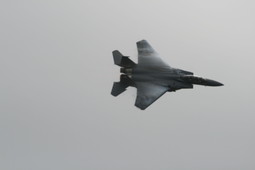 Filename=IMG_6355.JPG
Filesize=65KiB
Dimensions=2048x1365
Date added=Jan 18, 2018 IMG_6355.JPG