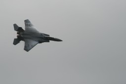 Filename=IMG_6356.JPG
Filesize=71KiB
Dimensions=2048x1365
Date added=Jan 18, 2018 IMG_6356.JPG