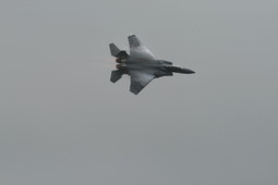 Filename=IMG_6358.JPG
Filesize=68KiB
Dimensions=2048x1365
Date added=Jan 18, 2018 IMG_6358.JPG