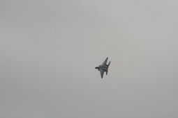 Filename=IMG_6367.JPG
Filesize=54KiB
Dimensions=2048x1365
Date added=Jan 18, 2018 IMG_6367.JPG