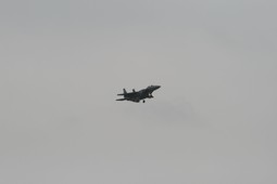 Filename=IMG_6369.JPG
Filesize=62KiB
Dimensions=2048x1365
Date added=Jan 18, 2018 IMG_6369.JPG