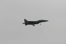 Filename=IMG_6371.JPG
Filesize=62KiB
Dimensions=2048x1365
Date added=Jan 18, 2018 IMG_6371.JPG